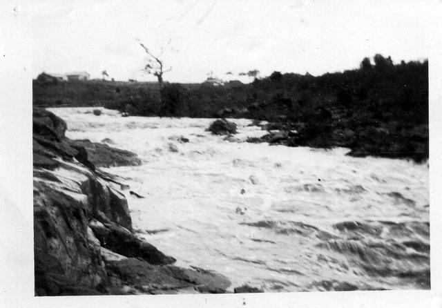 Merri creek in flood 