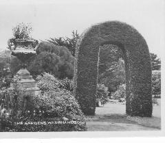 The gardens, Warrnambool