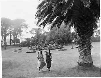 [Warrnambool Botanical Gardens]