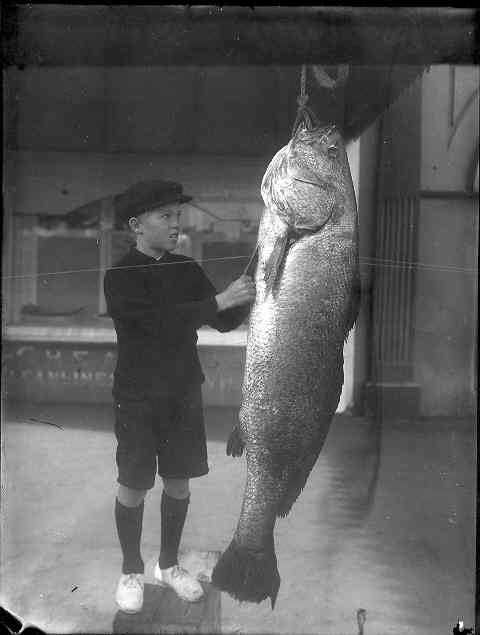 [Catch of the day]