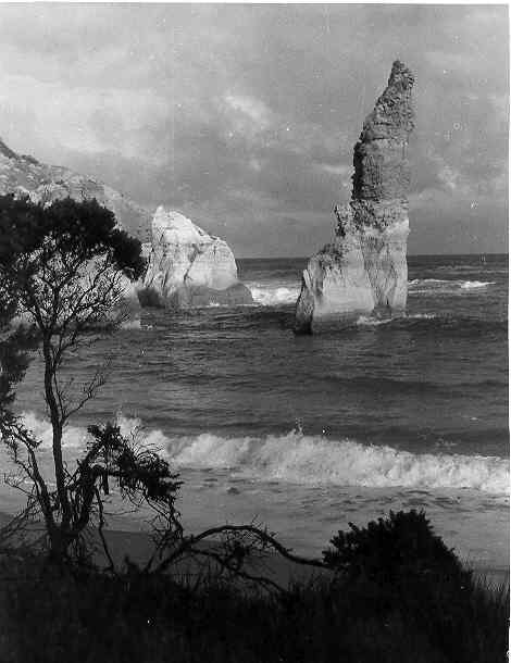[Needle Rock]
