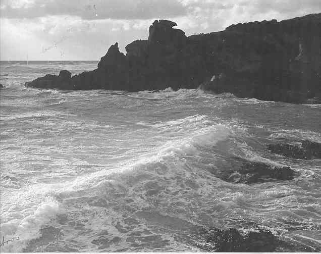 [Warrnambool coastline]