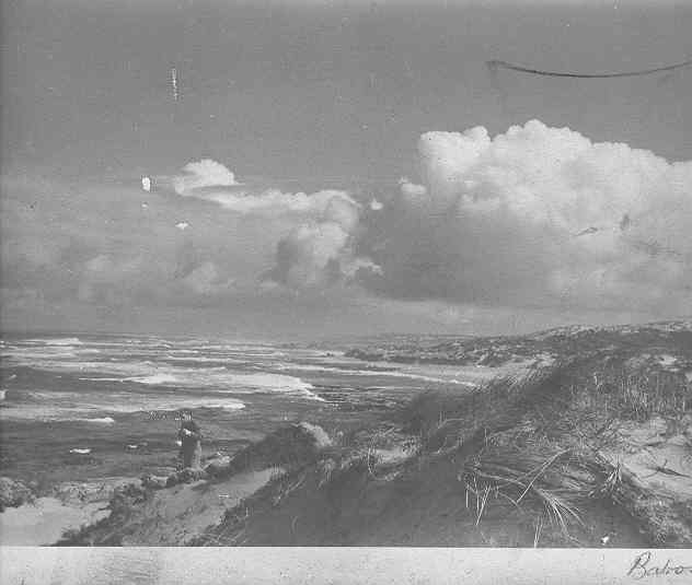 [Warrnambool coastline]
