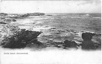 Shelly Beach, Warrnambool