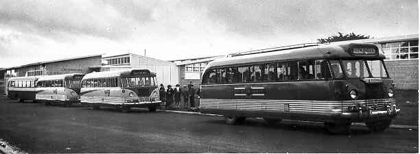 [School buses]