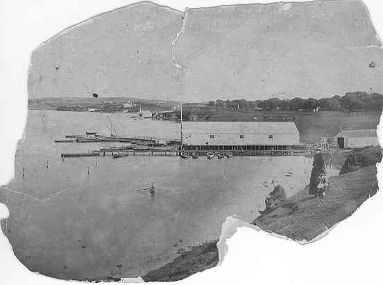 [Hopkins River]
