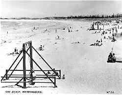 The beach, Warrnambool