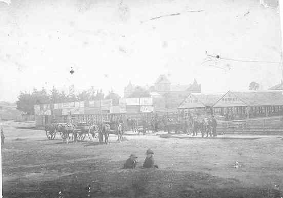[Saleyards, Warrnambool]