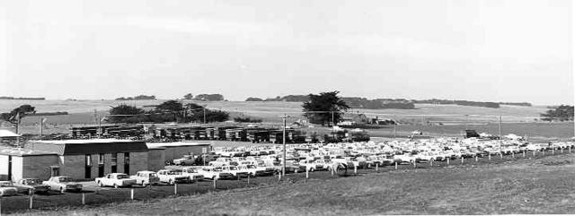 [Saleyards, Warrnambool]