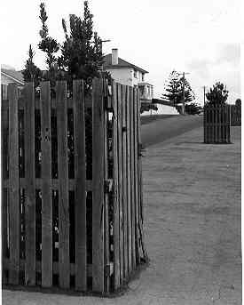 [Banyan Street, Warrnambool]