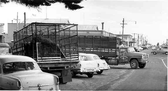 [Kepler Street, Warrnambool]