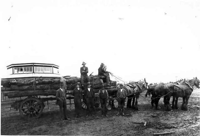[Cobden saleyards]