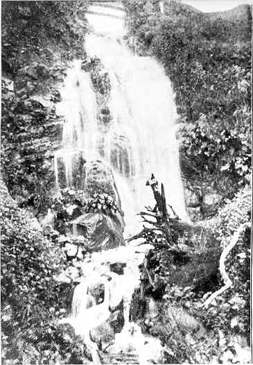 [Tannery Falls]