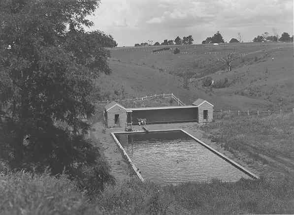 [Cobden swimming pool]