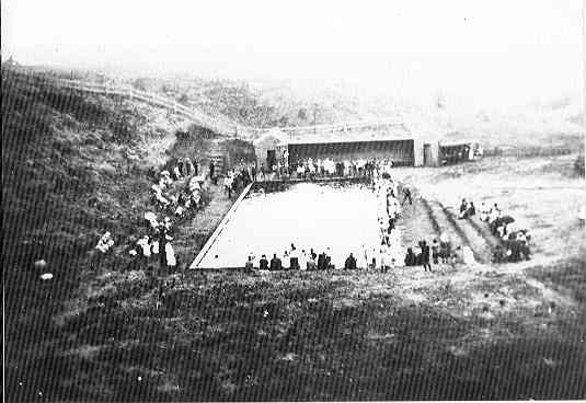 [Cobden swimming carnival]