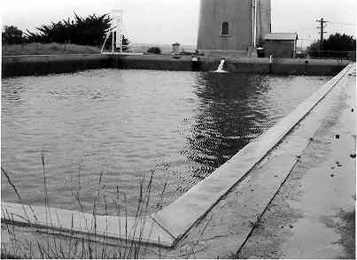 [Water storage]