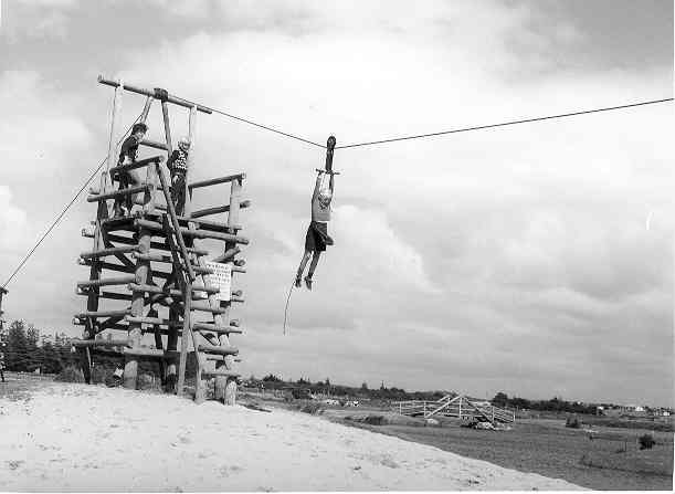 [Flying fox at Lake Pertobe]