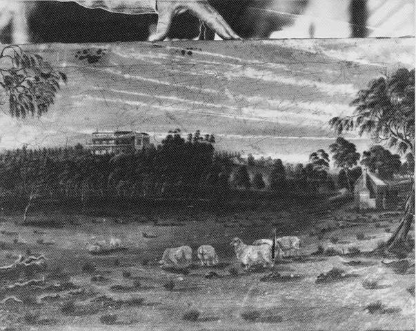 [Hexham Park]