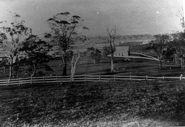 Terang