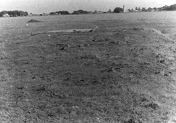 [Paddock]