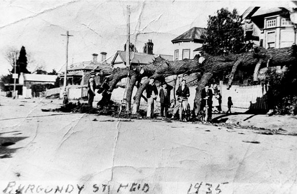 Burgundy Street, 1935