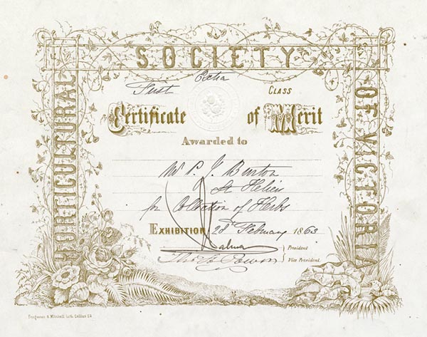 Certificate of merit