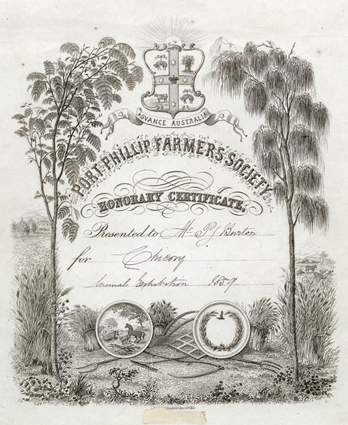 Honorary certificate