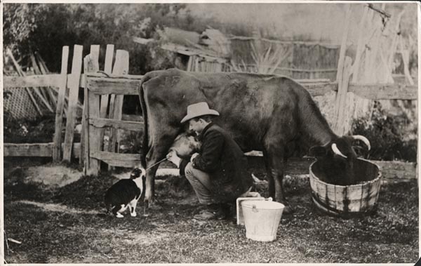 Denton Cook
