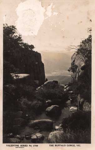 Mount Buffalo Gorge