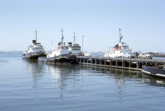 Tugs at Williamstown