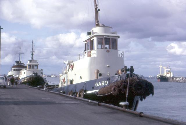 Tugs At Williamstown