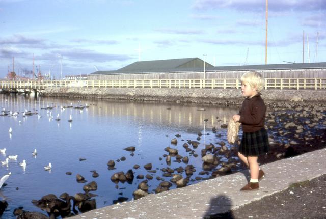 Ferguson Street Pier, Williamstown, 1966