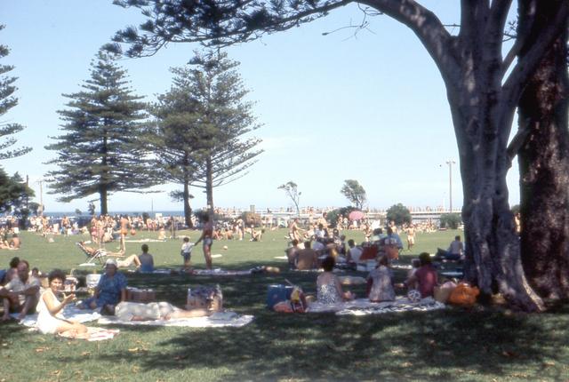 Logan Reserve, Altona 1971