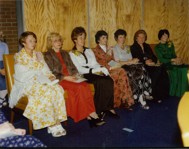 Council function