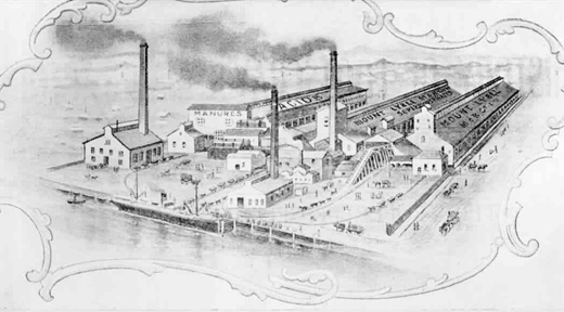 Mount Lyell Chemical Works