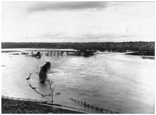 Maribyrnong River in Flood