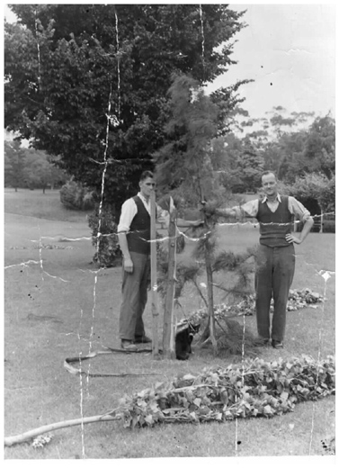 Footscray Park - storm damage
