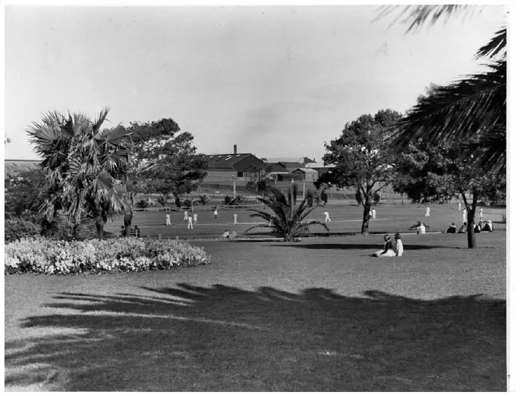 Yarraville Reserve - cricket oval