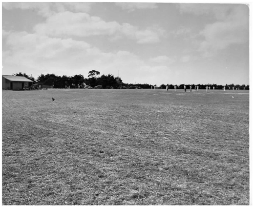 Angliss Reserve, Spotswood