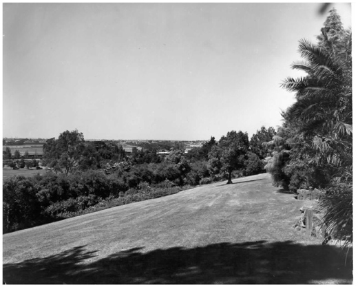 Footscray Park - overlooking Flemington Racecourse