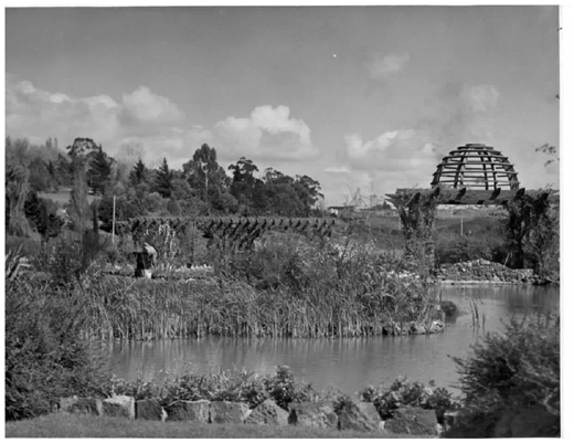 Footscray Park - Lily Pond