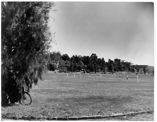 Footscray Park - playing fields