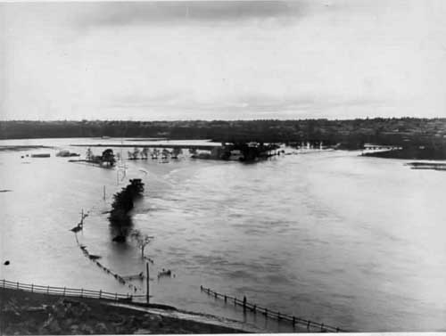 Saltwater River in flood