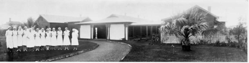 Tweddle Baby Hospital