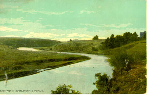 Saltwater River, Moonee Ponds