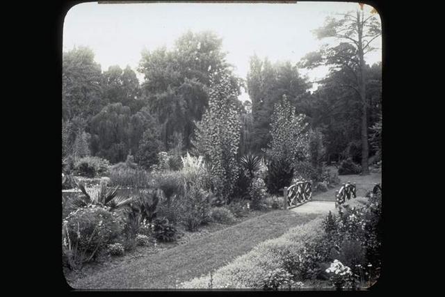 Thomson Water Garden at Footscray Park