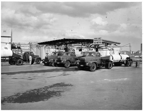 Commonwealth Fertilisers and Chemicals Ltd.