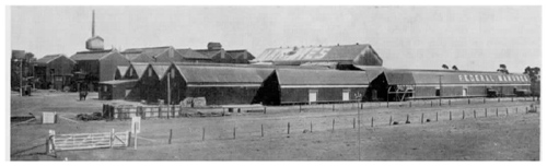 Nobel's Explosives Company