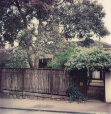 21 Agnes Street, East Melbourne