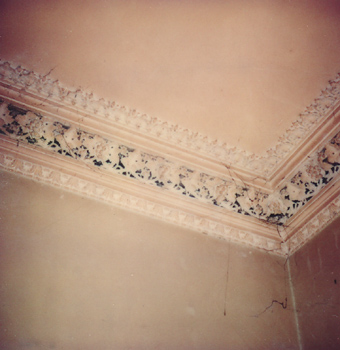 178 George Street, East Melbourne (roof detail)
